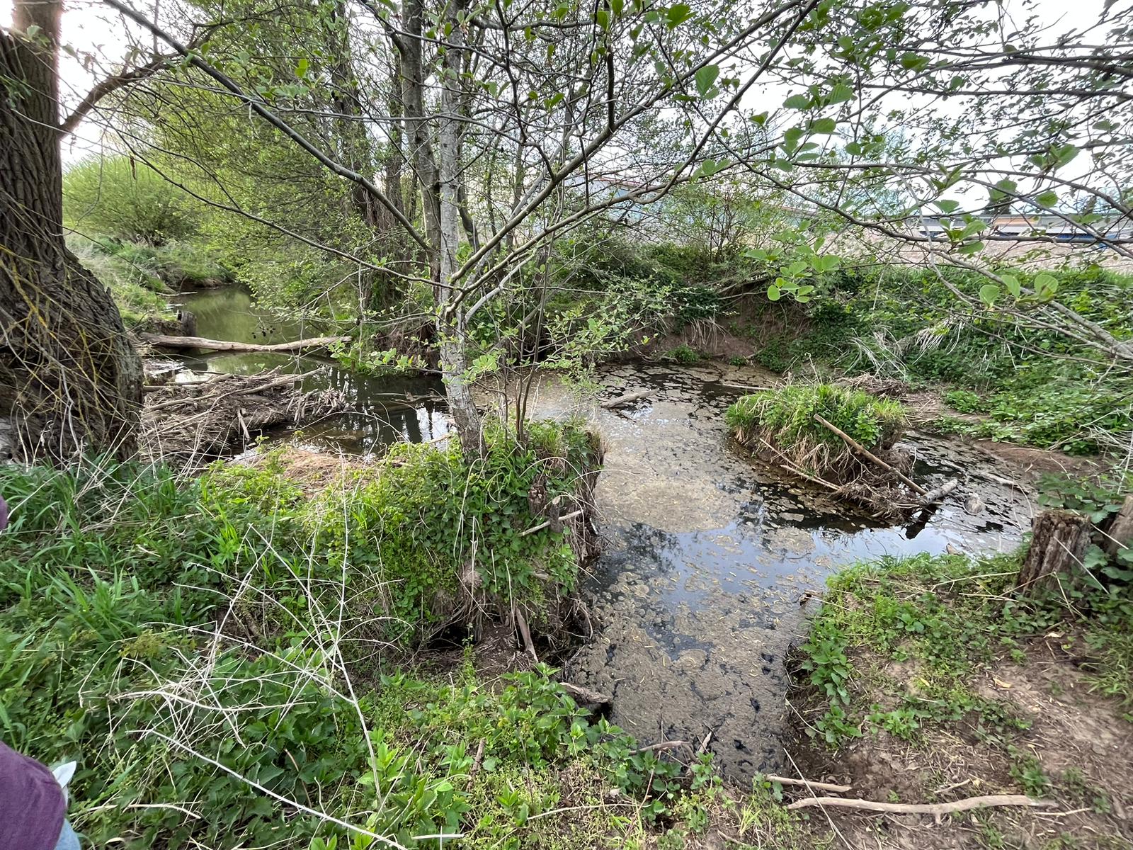 WhatsApp Image 2026-04-30 at 13.19.23 (7)